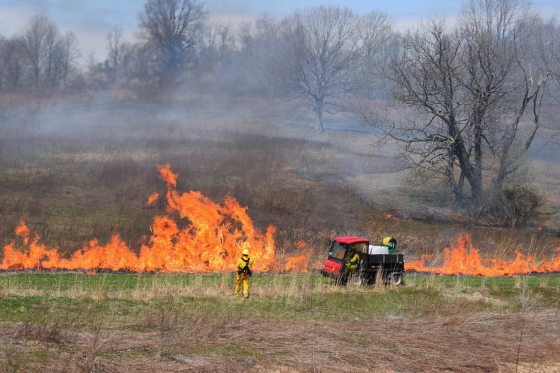 controlled fire burning in a meadow
